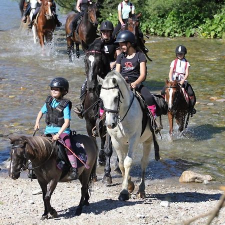 Domek W Dolinie Koscieliskiej Kościelisko Dış mekan fotoğraf